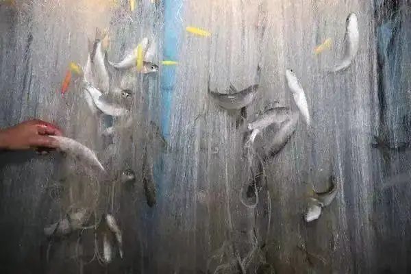 巽寮湾海王子学习型酒店，专属沙滩及超大观海平台(图51)