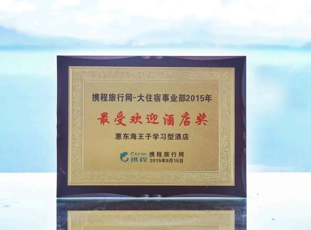 巽寮湾海王子学习型酒店，专属沙滩及超大观海平台(图57)