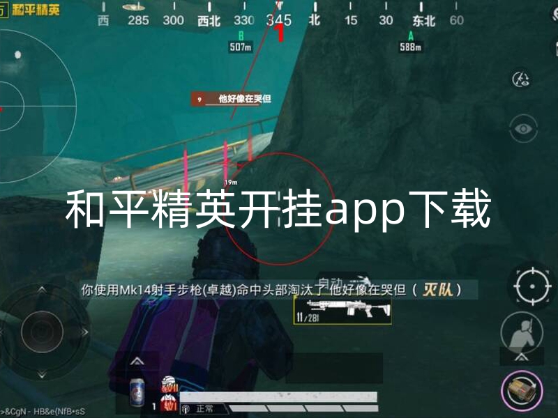 和平精英开挂app下载-和平精英外挂现象泛滥，公平性遭严重破坏，玩家如何应对？(图1)