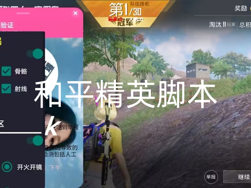 王者直装(免卡密),虚幻直装v7.0稳定版,王者荣耀星火直装,王者荣耀公益直装绘制直装
