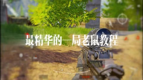 今天是你的生日歌曲原唱玄鸟直装王者科技