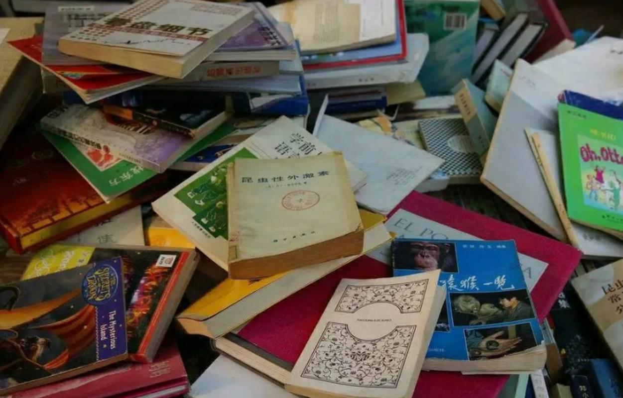 橙子2.0全新改版升级 两月猛增百万客户