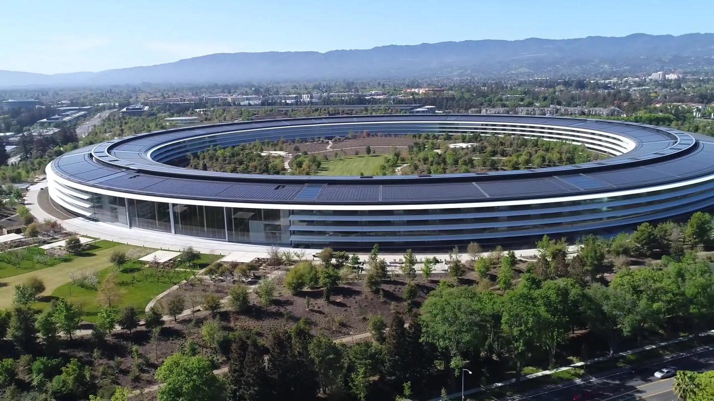 五粮液是什么梗