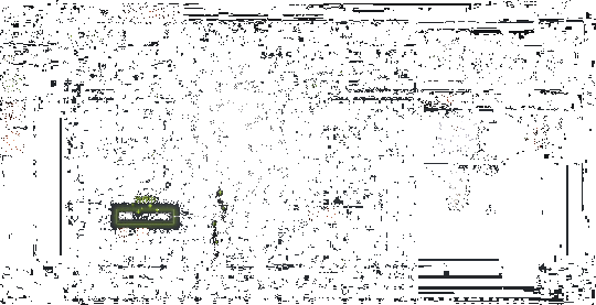 【wg999辅助网】八大关枫叶在哪条路