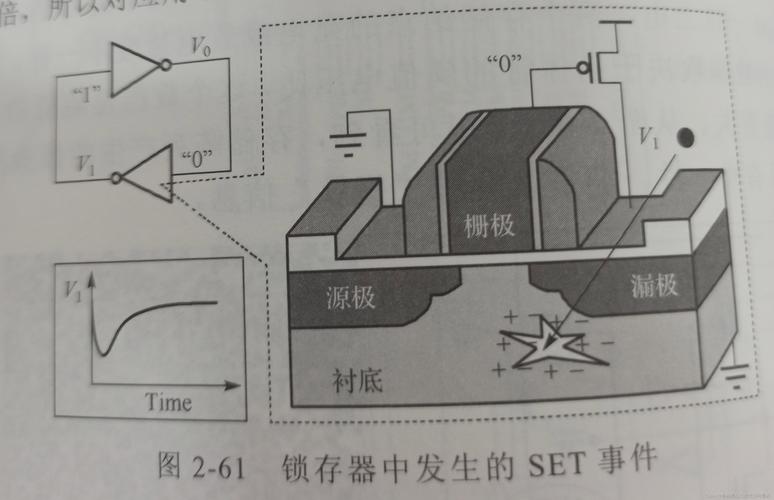 粉皮怎么做【荒野行动辅助购买网站】