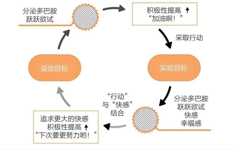 荒野行动透视辅助网站,荒野行动透视挂怎么弄