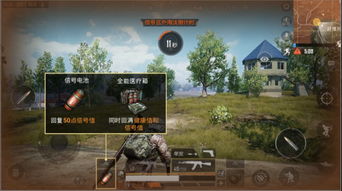 和平精英ios挂在哪里买(和平精英卖挂平台网站苹果)(图1)