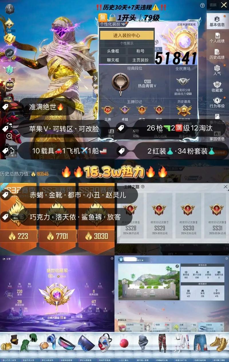 和平精英辅助提卡卡盟